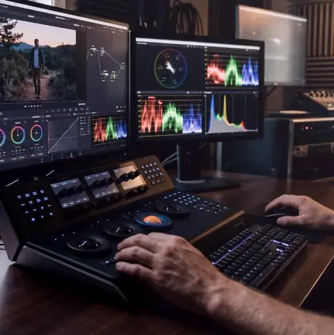 Holunder Acker – Postproduktion und Motion Design